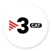 TV3-cat